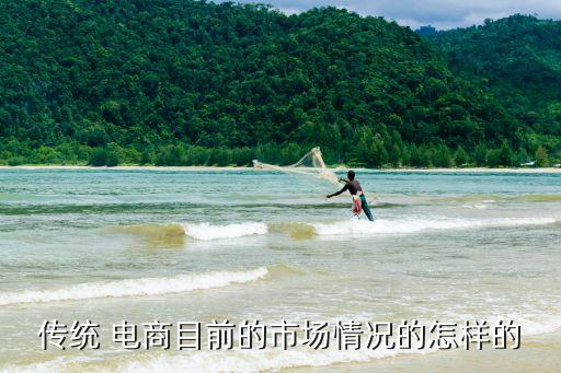 傳統 電商目前的市場情況的怎樣的
