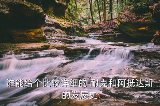 誰能給個比較詳細的 耐克和阿抵達斯的發展史
