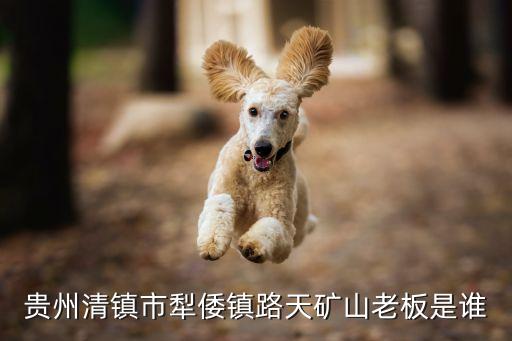 貴州清鎮市犁倭鎮路天礦山老板是誰