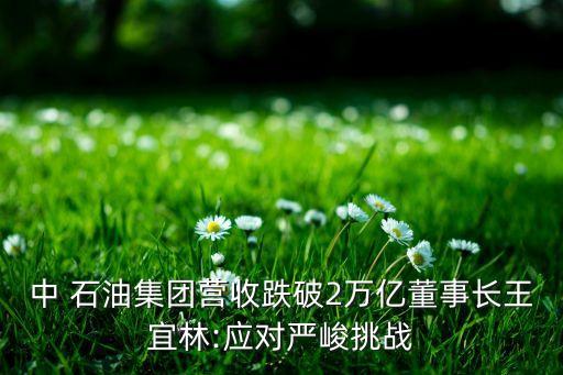 中 石油集團營收跌破2萬億董事長王宜林:應對嚴峻挑戰