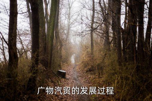 廣物汽貿的發展過程