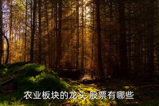 農業板塊的龍頭 股票有哪些