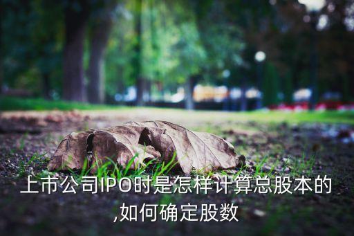 上市公司IPO時是怎樣計算總股本的,如何確定股數
