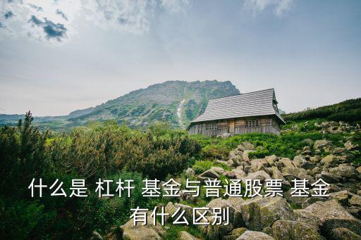 什么是 杠桿 基金與普通股票 基金有什么區別