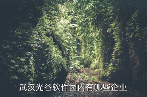 廣安電子產業園兄弟電子有限公司