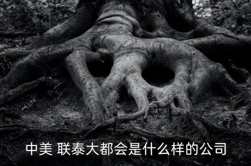中美 聯泰大都會是什么樣的公司