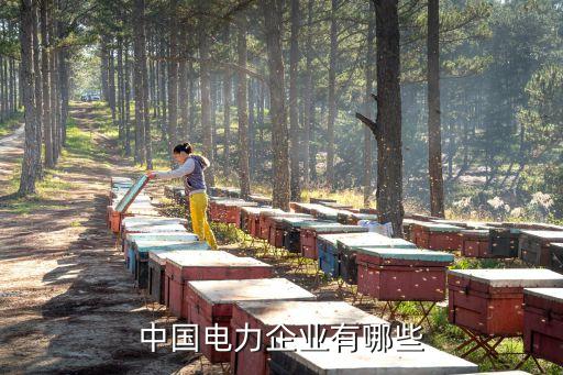 中國電力企業有哪些