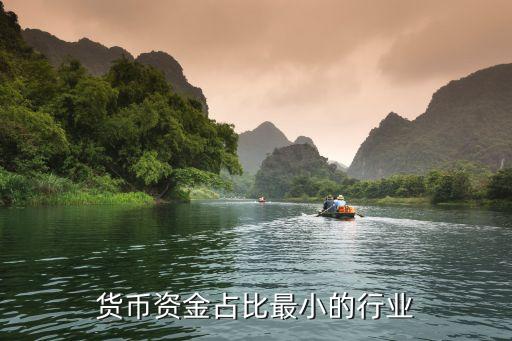 貨幣資金占比最小的行業