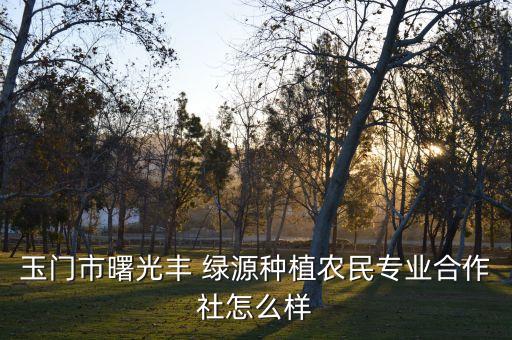 甘肅綠源公司法人,淮南綠源開發公司法人