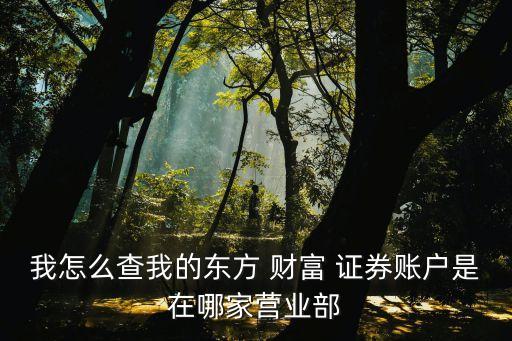 我怎么查我的東方 財富 證券賬戶是在哪家營業部