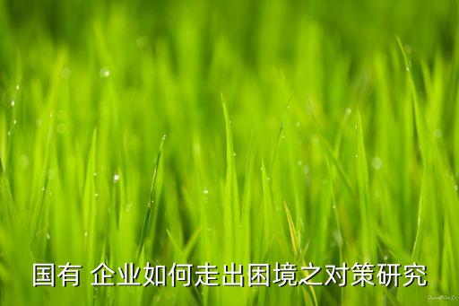 中國企業走出去面臨的問題,走出去企業面臨的稅收風險