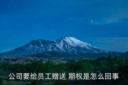 經理人股票期權,股票期權是賦予經理人按一個固定的價格