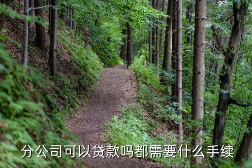  分公司可以貸款嗎都需要什么手續