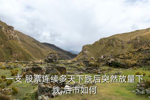一支 股票連續多天下跌后突然放量下跌,后市如何