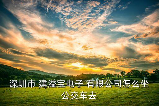建溢實業有限公司,衡陽市建衡實業有限公司