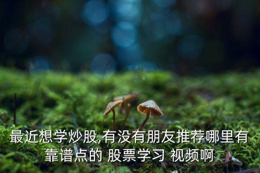 最近想學(xué)炒股,有沒有朋友推薦哪里有靠譜點的 股票學(xué)習(xí) 視頻啊
