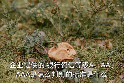 企業(yè)提供的 銀行資信等級A、AA、AAA是怎么判別的標(biāo)準(zhǔn)是什么
