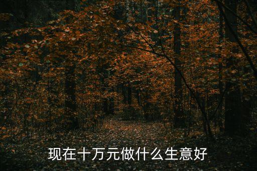 現在十萬元做什么生意好