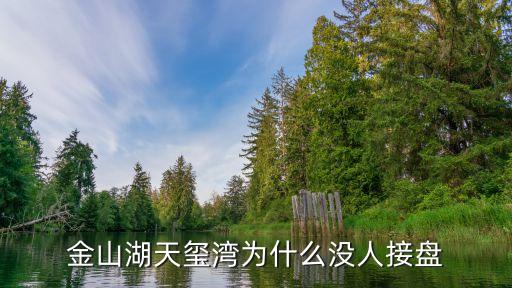 北京市天下置業,孝感和天下置業董事長