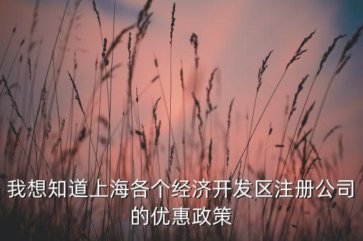我想知道上海各個經濟開發區注冊公司的優惠政策