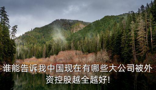 誰能告訴我中國現在有哪些大公司被外資控股越全越好!