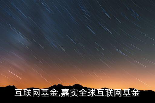 全球互聯網基金,嘉實全球互聯網基金