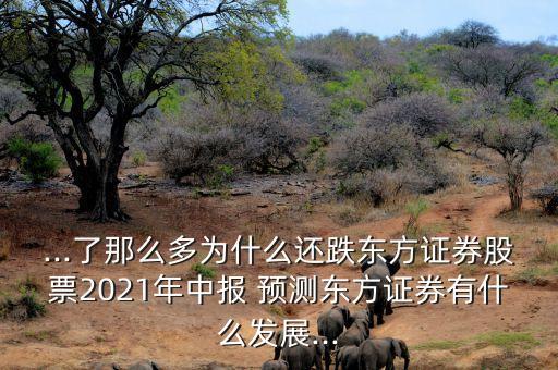...了那么多為什么還跌東方證券股票2021年中報 預測東方證券有什么發展...