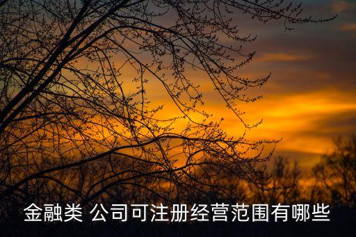 商業保理公司是金融機構嗎