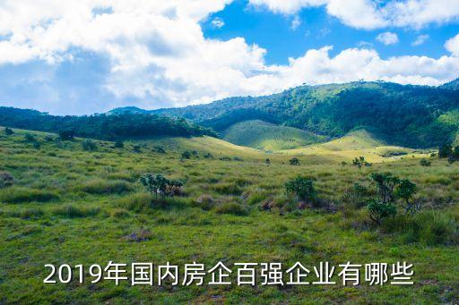 2019年國內房企百強企業有哪些