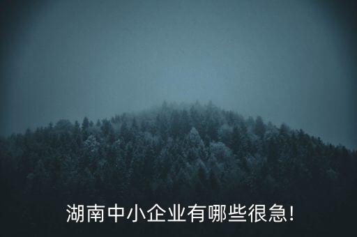  湖南中小企業有哪些很急!