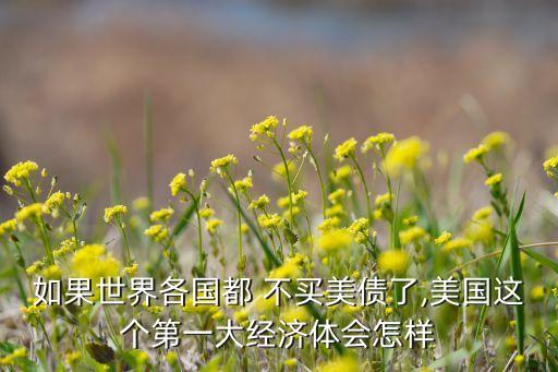 如果世界各國都 不買美債了,美國這個第一大經濟體會怎樣