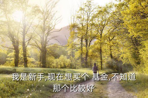 我是新手,現在想買個 基金,不知道那個比較好
