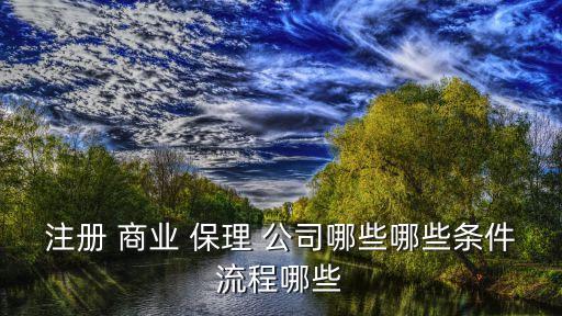 注冊 商業 保理 公司哪些哪些條件流程哪些