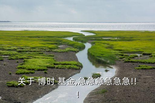 博時絲路基金現可以介入嗎