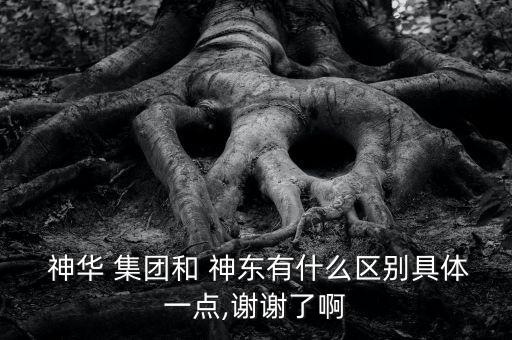  神華 集團和 神東有什么區別具體一點,謝謝了啊