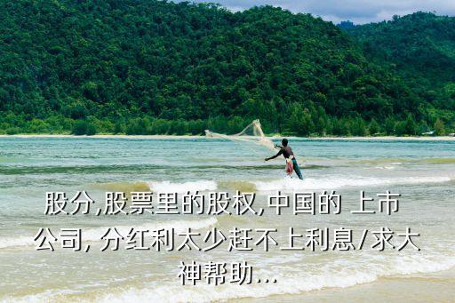 分紅最少的上市公司,上市公司分紅規則與程序