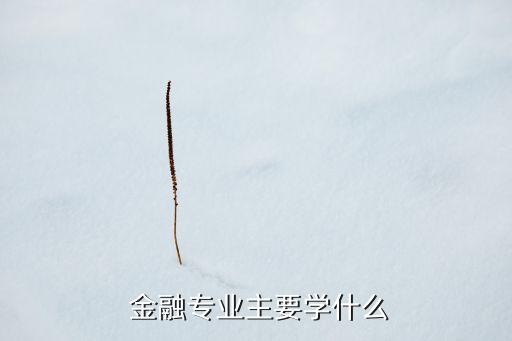  金融專業主要學什么