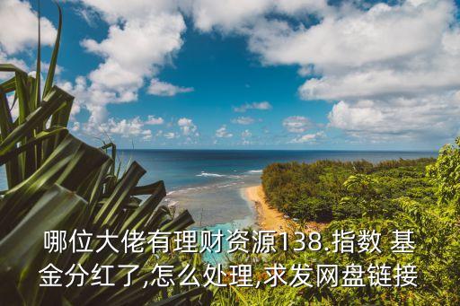 哪位大佬有理財資源138.指數 基金分紅了,怎么處理,求發網盤鏈接