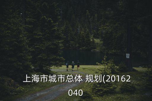  上海市城市總體 規劃(20162040