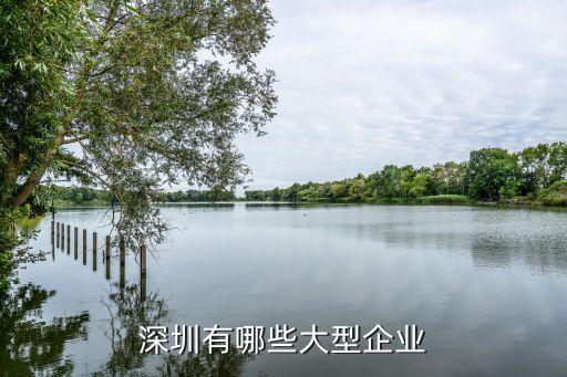 中國風險投資有限公司鐵漢生態