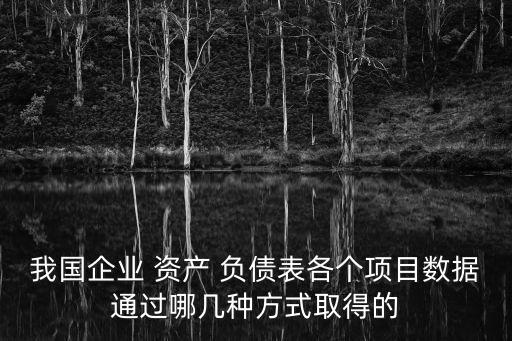 我國企業 資產 負債表各個項目數據通過哪幾種方式取得的