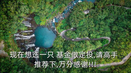 現在想選一只 基金做定投,請高手 推薦下,萬分感謝!!!