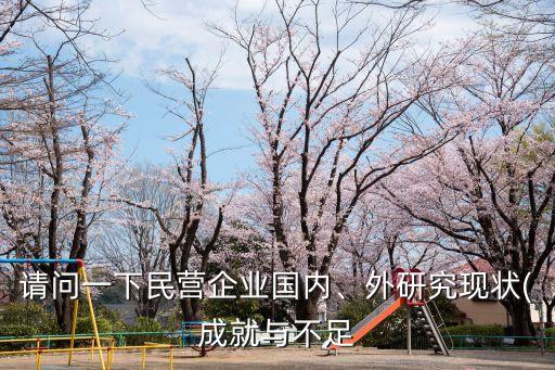 請問一下民營企業國內、外研究現狀(成就與不足