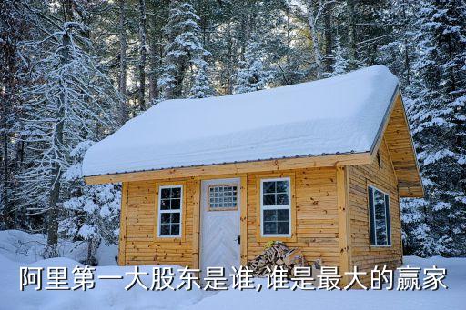 日本軟銀集團占阿里巴巴,軟銀集團每年從阿里巴巴分紅多少