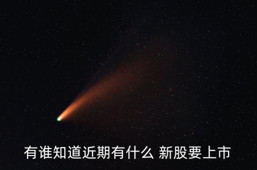 有哪些股票持有新股發行