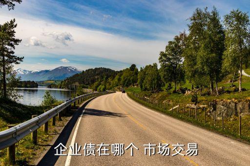 企業參與銀行間債券市場,全國銀行間債券市場