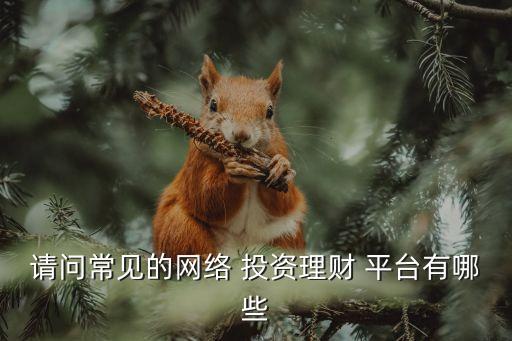 請問常見的網絡 投資理財 平臺有哪些