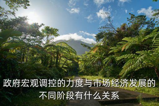 政府宏觀調控的力度與市場經濟發展的不同階段有什么關系