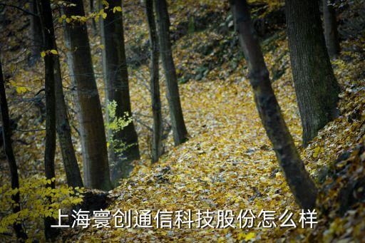 上海寰創股票,上海雅創股票