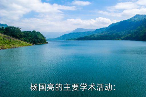 楊國亮的主要學術活動: